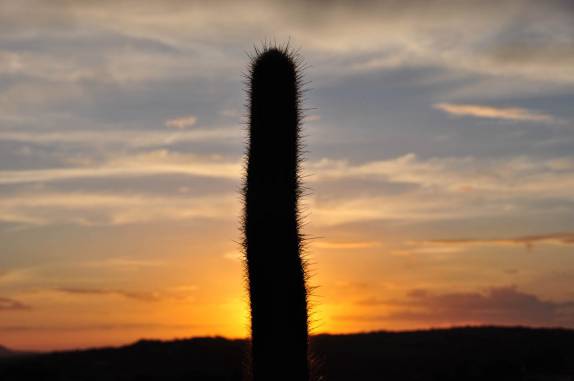 Pôr-do-sol na caatinga, região de Cabaceiras - PB